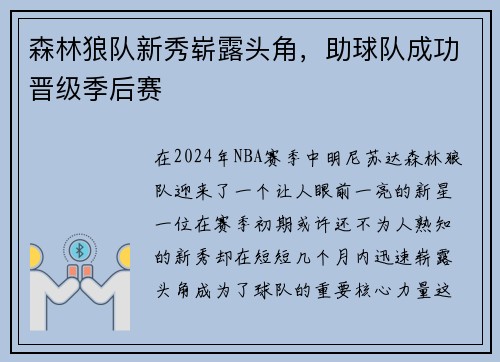 森林狼队新秀崭露头角，助球队成功晋级季后赛