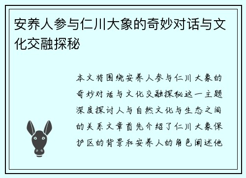 安养人参与仁川大象的奇妙对话与文化交融探秘