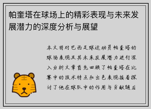 帕奎塔在球场上的精彩表现与未来发展潜力的深度分析与展望