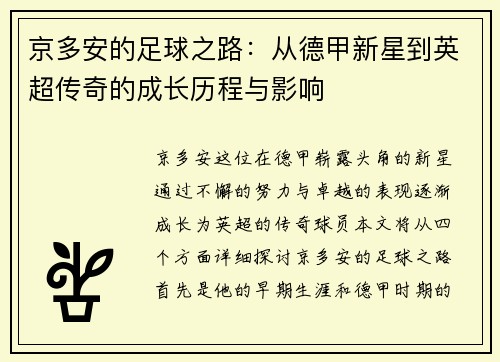 京多安的足球之路：从德甲新星到英超传奇的成长历程与影响