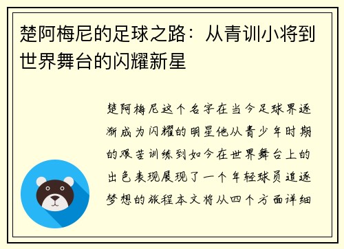 楚阿梅尼的足球之路：从青训小将到世界舞台的闪耀新星