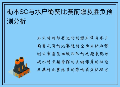 枥木SC与水户蜀葵比赛前瞻及胜负预测分析